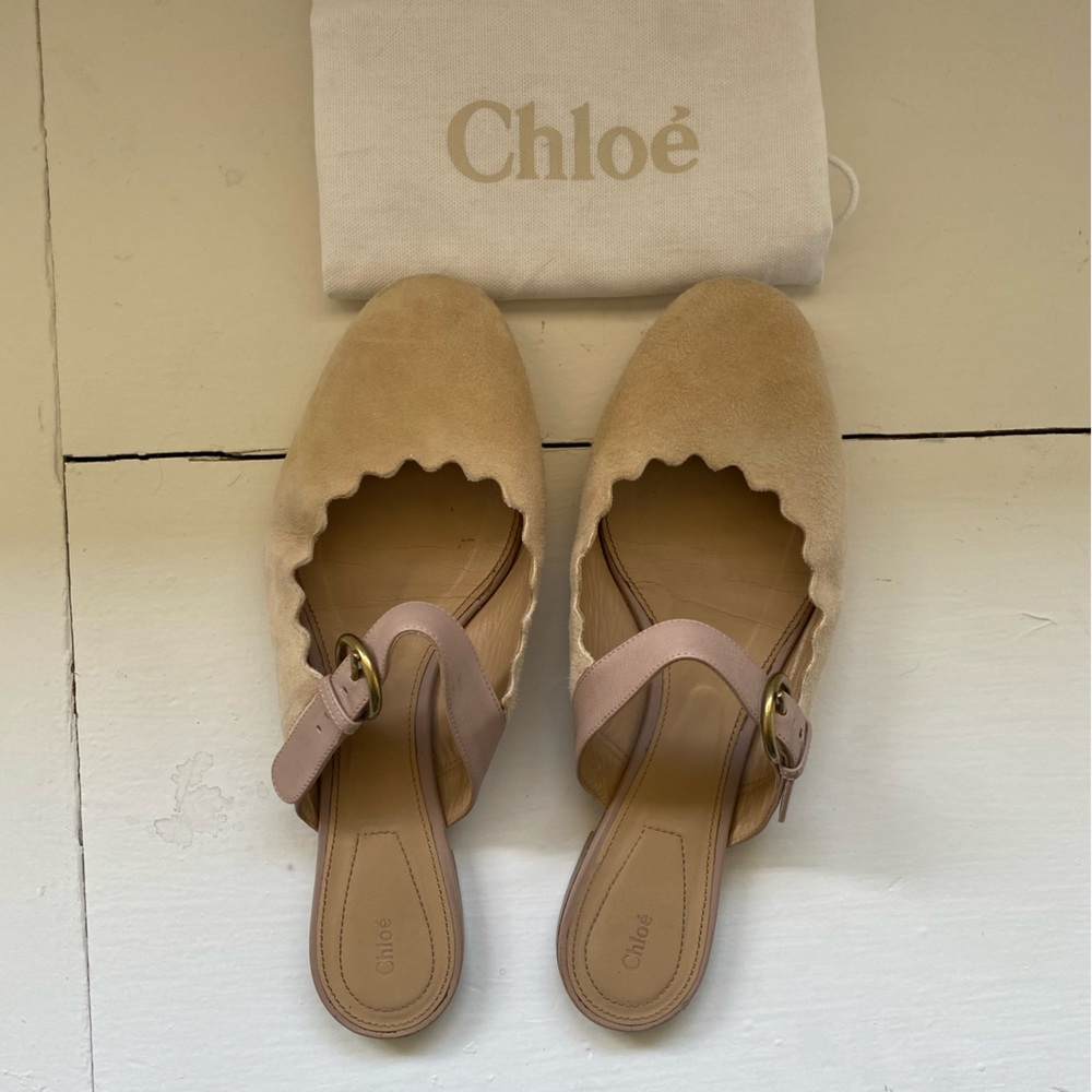 Chloe Lauren Suede Scalloped Mules